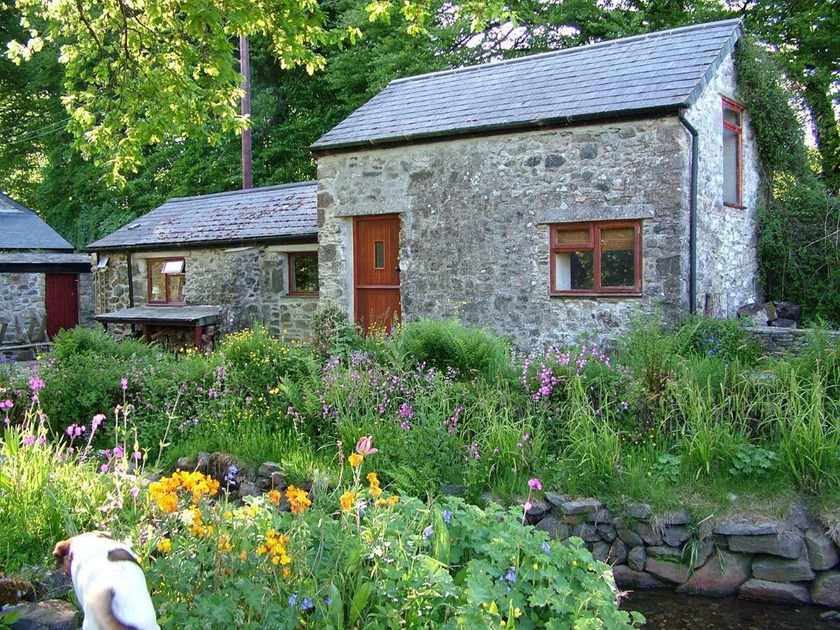 Homer Farm Marytavy Exterior photo